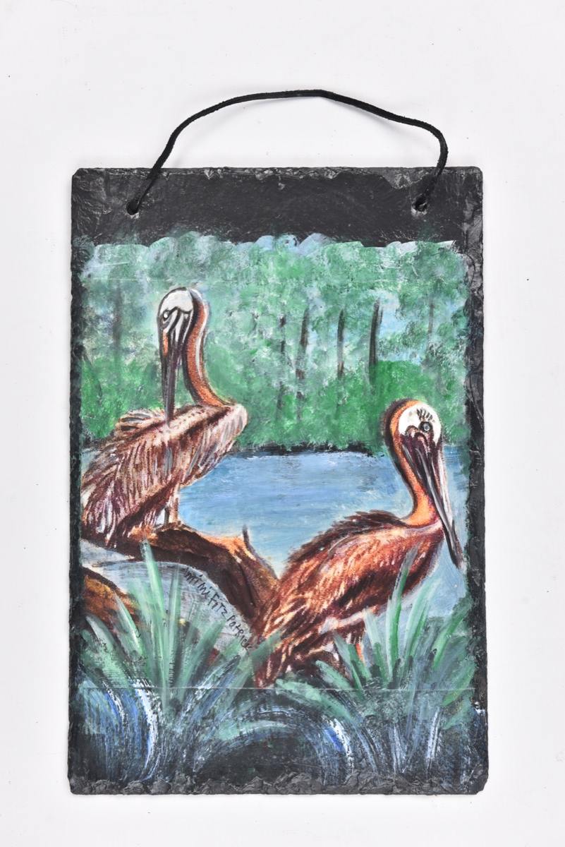 La Brown Pelicans $35